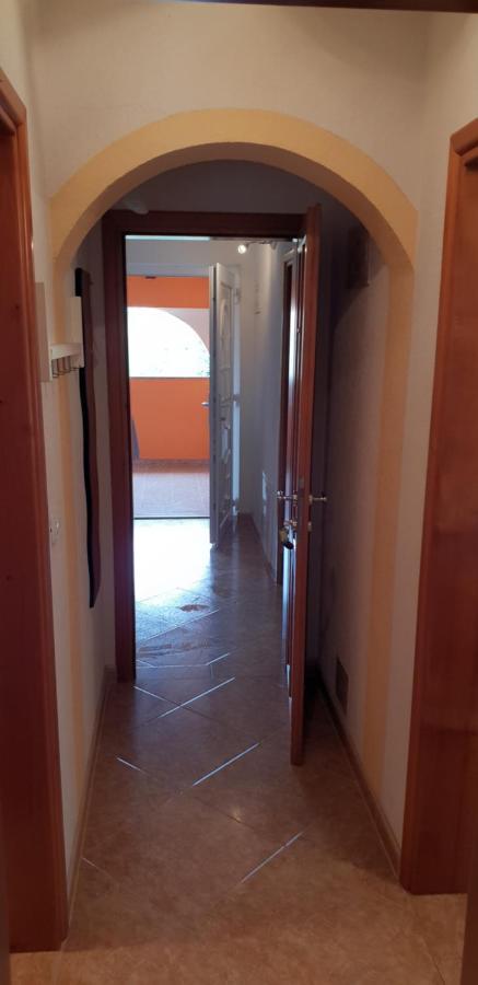 Apartmani Citrus Novigrad Filipac Eksteriør billede