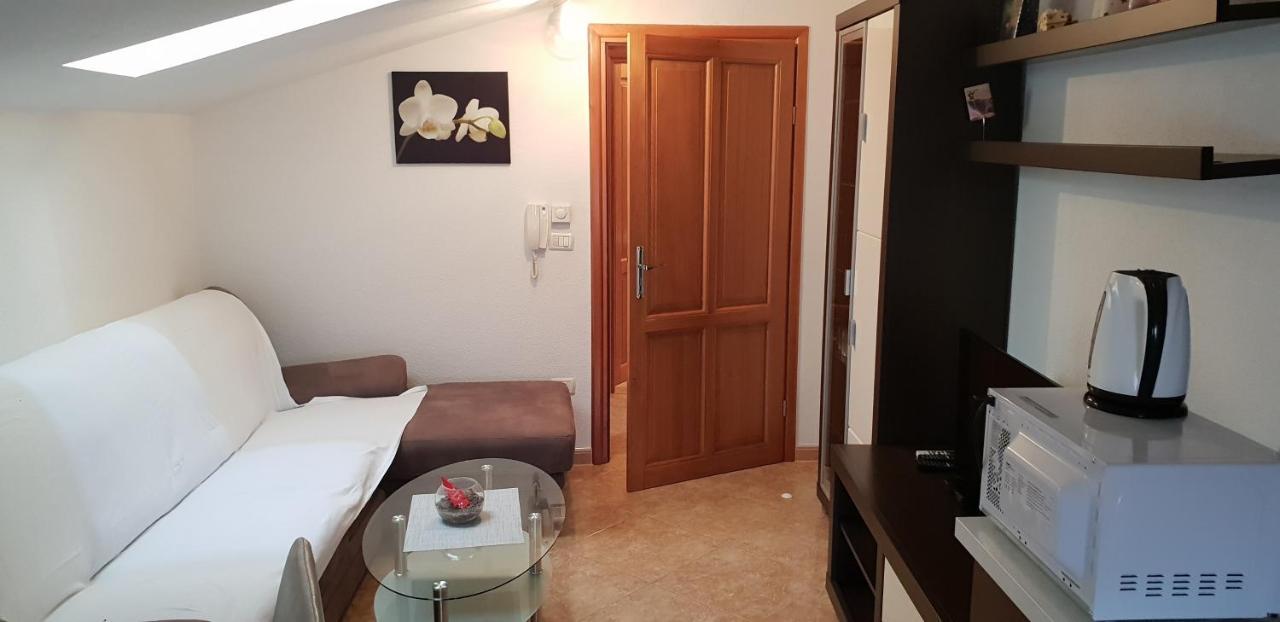 Apartmani Citrus Novigrad Filipac Eksteriør billede