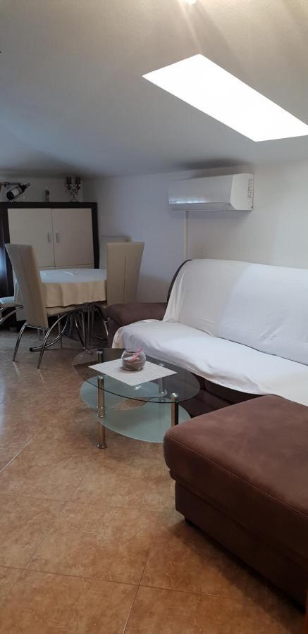Apartmani Citrus Novigrad Filipac Eksteriør billede