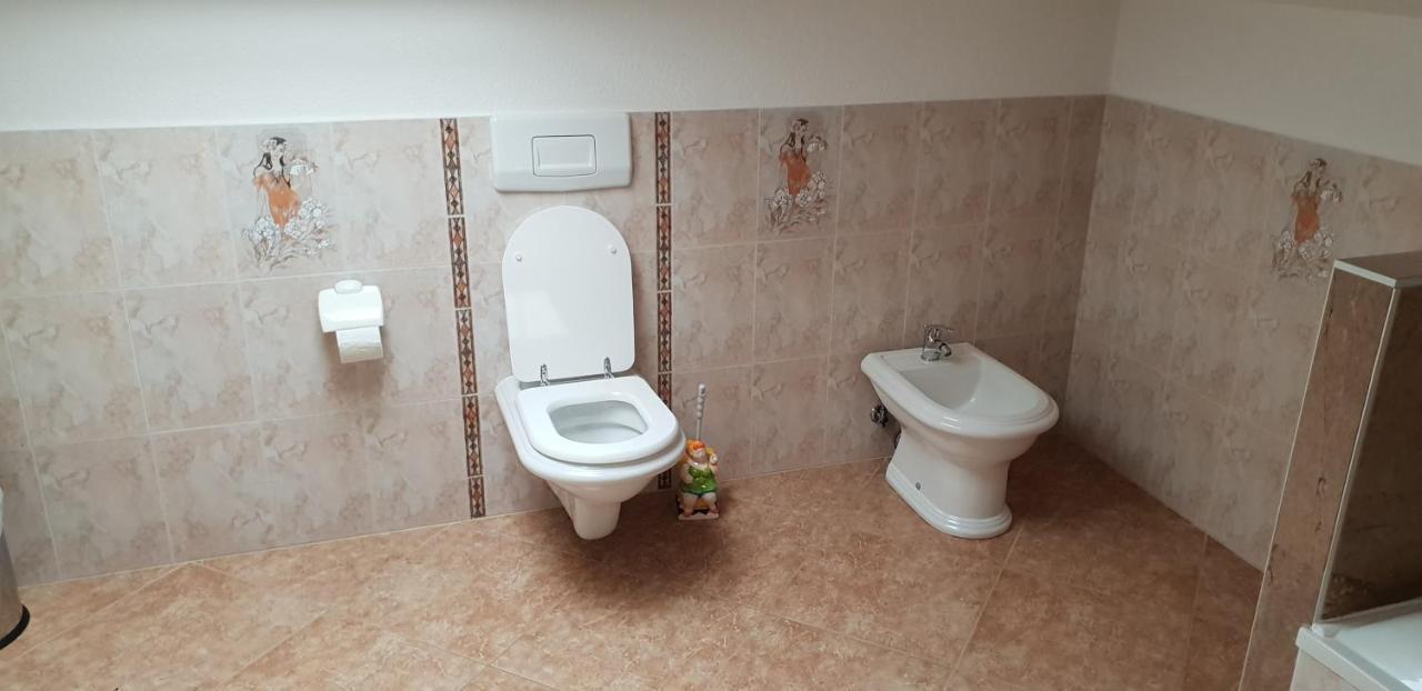 Apartmani Citrus Novigrad Filipac Eksteriør billede