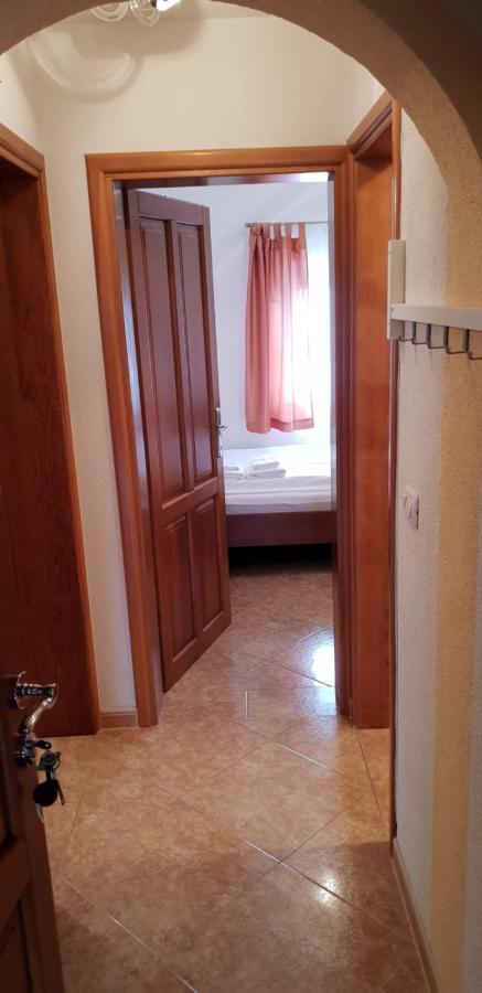 Apartmani Citrus Novigrad Filipac Eksteriør billede