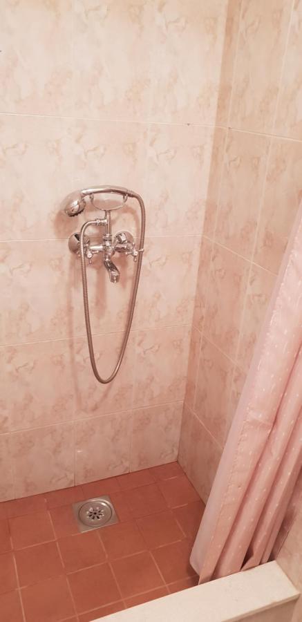 Apartmani Citrus Novigrad Filipac Eksteriør billede