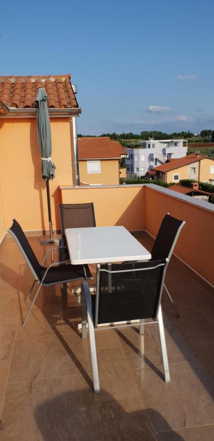 Apartmani Citrus Novigrad Filipac Eksteriør billede