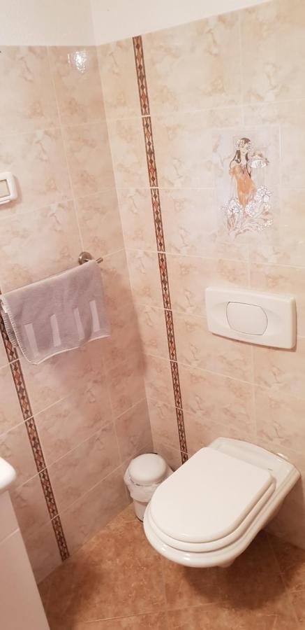 Apartmani Citrus Novigrad Filipac Eksteriør billede