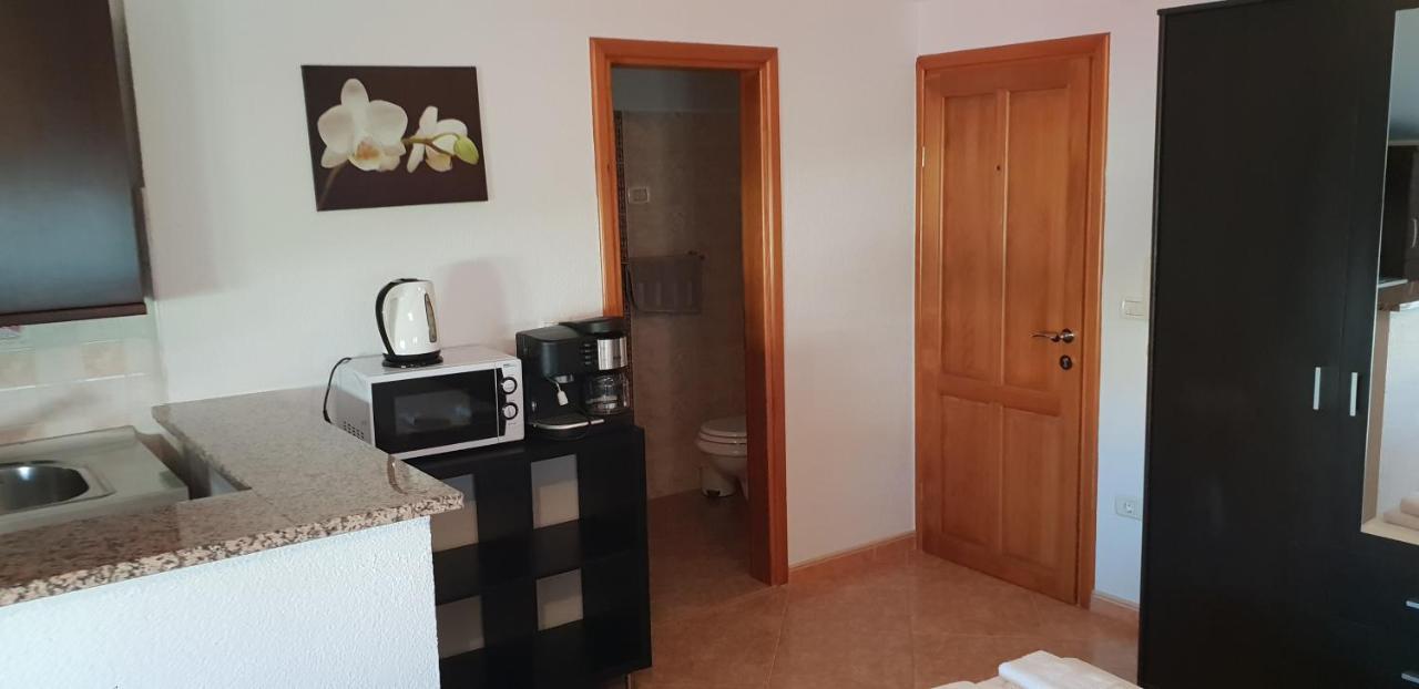 Apartmani Citrus Novigrad Filipac Eksteriør billede