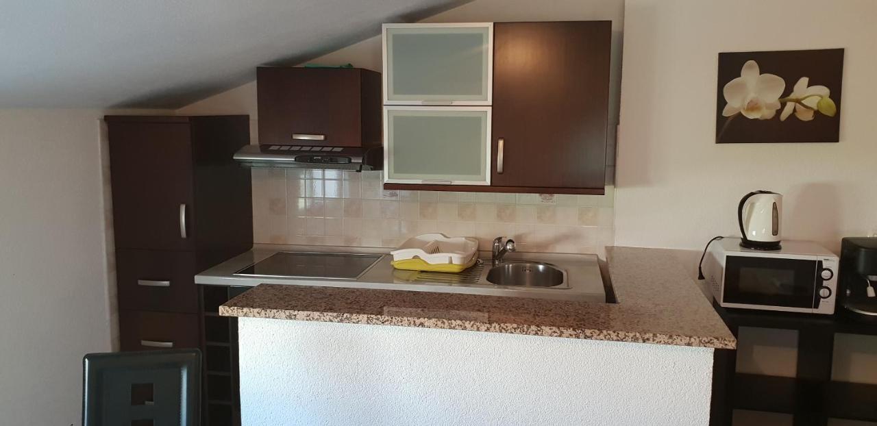 Apartmani Citrus Novigrad Filipac Eksteriør billede