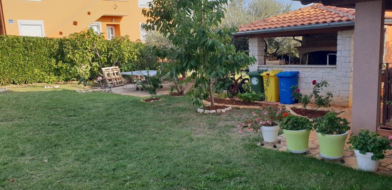 Apartmani Citrus Novigrad Filipac Eksteriør billede