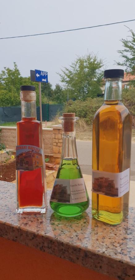 Apartmani Citrus Novigrad Filipac Eksteriør billede