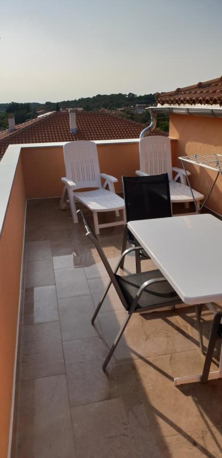 Apartmani Citrus Novigrad Filipac Eksteriør billede