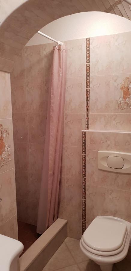 Apartmani Citrus Novigrad Filipac Eksteriør billede