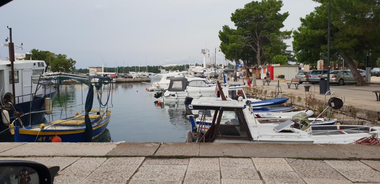 Apartmani Citrus Novigrad Filipac Eksteriør billede